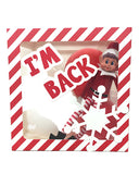 COLLECTION ONLY - ELF INCLUDED - I'm Back Box