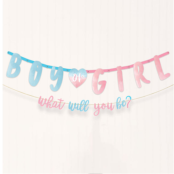 Boy or Girl What will you be? Banner