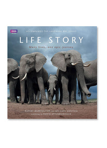 Life Story BBC Books