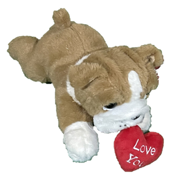 COLLECTION ONLY - Cute Pug Holding a Love You Heart